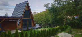 E&T-Cabin A frame